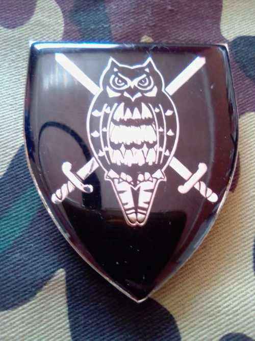 SADF MILITARY INTELLIGENCE HQ SHOULDER FLASH