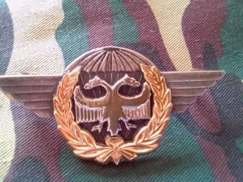 SADF - SAAF TASK FORCE QUALIFICATION BADGE - RARE
