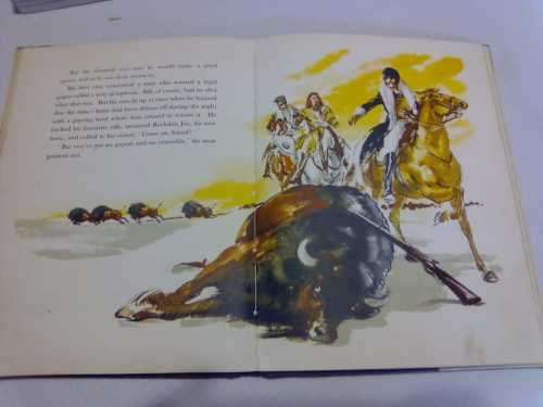 BOOK: BUFFALO BILL (EXCELLENT CLASSICAL children's book) - PHILIP DENNINGTON