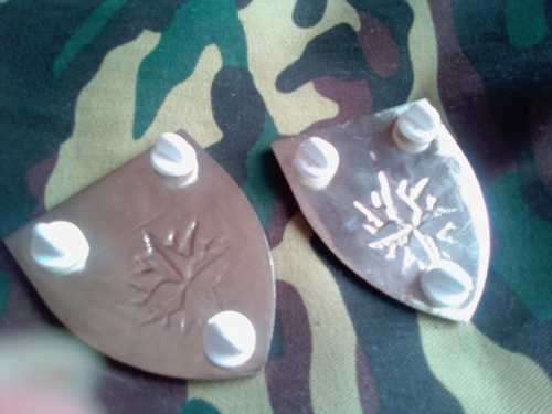 SADF 1 RECCE  SHOULDER FLASH SET - - WITH PINS