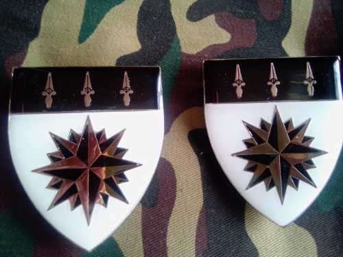 SADF 1 RECCE  SHOULDER FLASH SET - - WITH PINS