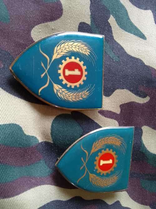 SADF MAINTENANCE BERET (FULL) **PLUS SET OF COLLAR BADGES AND SET  SHOULDER FLASHES