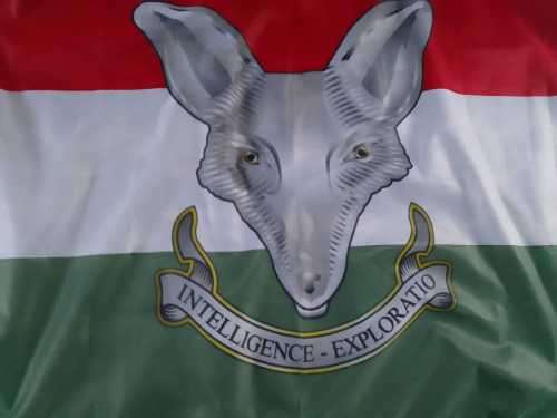 SADF INTELLIGENCE FORMATION - EXPLORATIO-  COMMEMORATIVE (STORM) FLAG - RARE - LAST ONE LEFT
