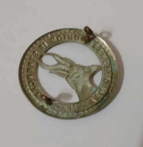 SADF/SA ARMY  CAP BADGE- large-   - UNION IS STRENGTH/ EENDRAG MAAK MAG