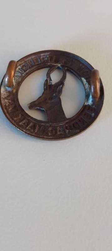 SADF /SA ARMY UNION IS STRENGTH-COLLAR BADGE