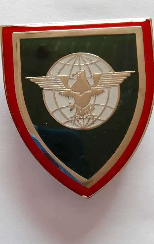 SADF 1 TACTICAL INTELLIGENCE REGIMENT SHOULDER FLASH  - with pins