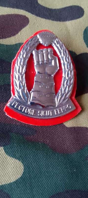 SANDF  ARMOURED CORPS FORMATION BERET BADGE - WITH LUGS