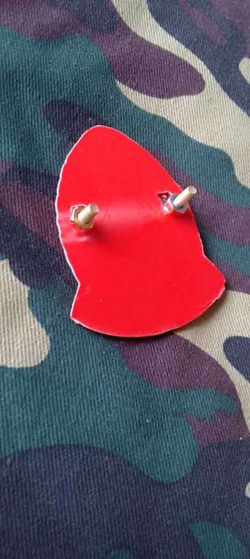 SANDF  ARMOURED CORPS FORMATION BERET BADGE - WITH LUGS