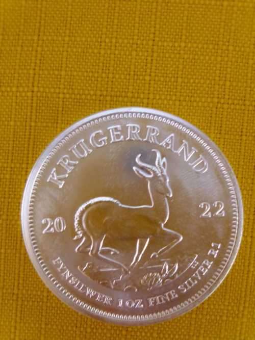 SNAP IT UP!!  2022 SILVER 1OZ KRUGERRAND (BU) - YOUR BID PER COIN