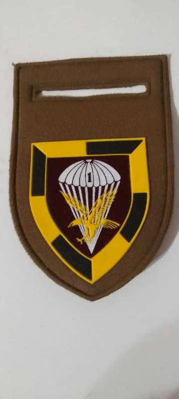 SADF/SA ARMY  1 PARACHUTE BATTALION TUPPER FLASH --- with pin