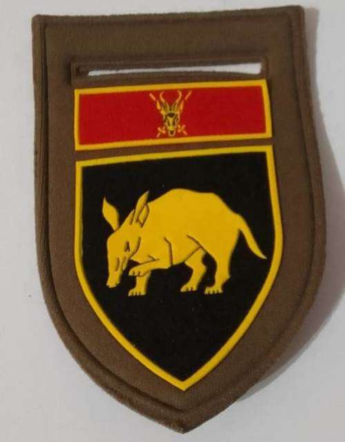 SADF/SA ARMY SANDTON COMMANDO  TUPPER FLASH --- with pin