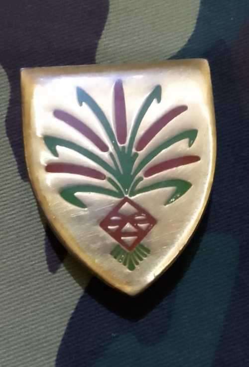 SADF/ SA ARMY/ SWA 202 BATTALION POCKET FLASH