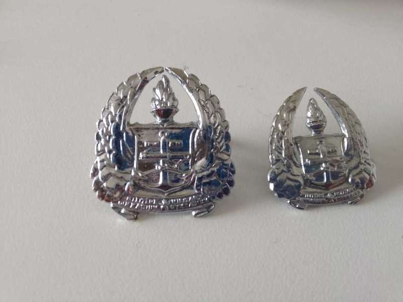 SADF/SA ARMY GYMNASIUM CAP BADGE (WITH LUGS) AND 1 X SINGLE COLLAR BADGE (WITH PINS)