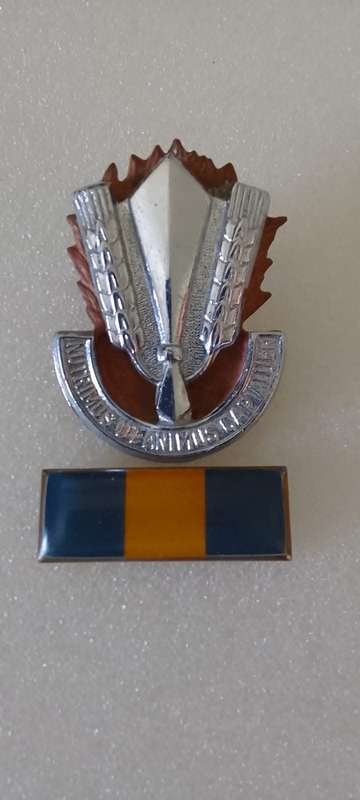 SADF/ SA ARMY  CATERING CORPS CAP BADGE AND BALKIE - BARGAIN