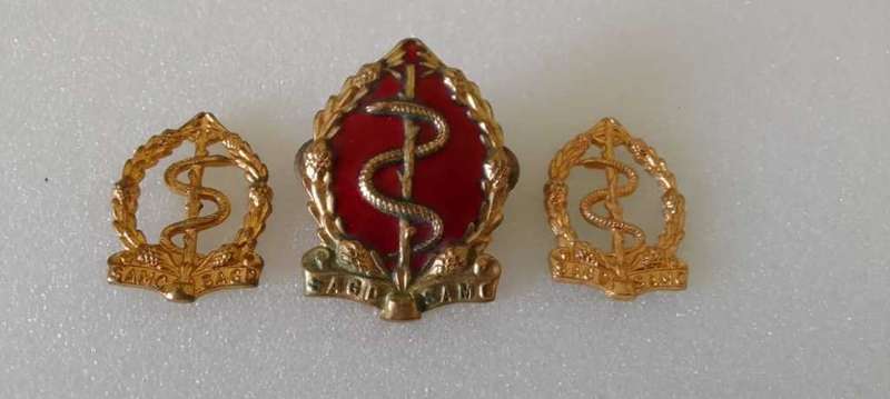 SADF/ SA  SAMS MEDICAL BERET BADGE AND COLLAR BADGE SET - LOVELY SET
