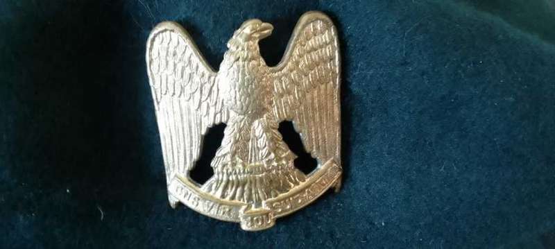 SADF/ SA  ARMY LOUW WEPENER REGIMENT BERET