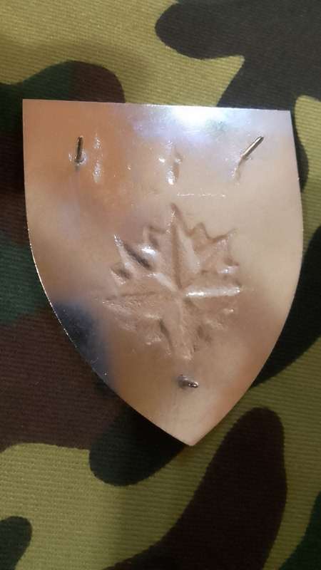 SADF/ SA ARMY 1 RECCE  SHOULDER FLASH  - - WITH PINS