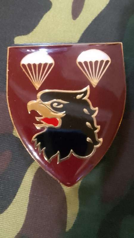 LOW START - SADF 2 PARACHUTE BATTALION SHOULDER FLASH - WITH PINS -