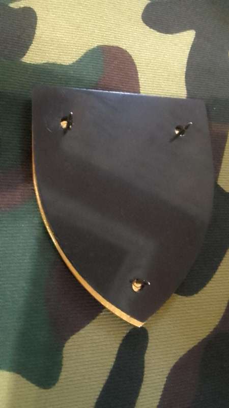 LOW START - SADF 2 PARACHUTE BATTALION SHOULDER FLASH - WITH PINS -