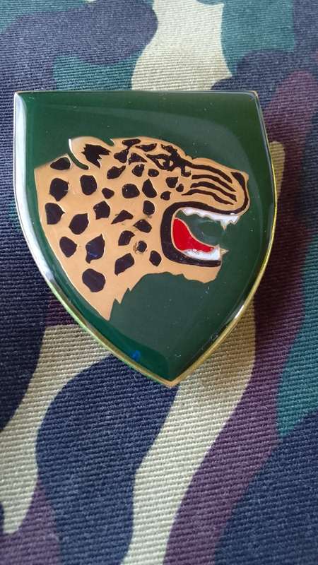 SADF/SA ARMY  MIDLAND COMMANDO SHOULDER FLASH - WITH PINS