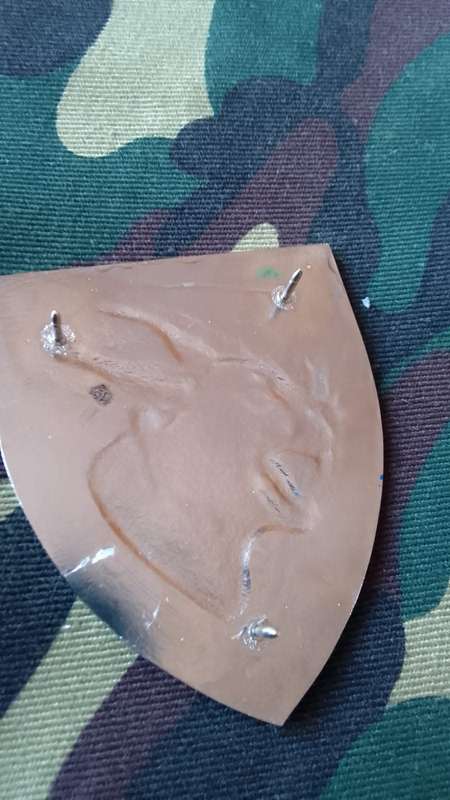 SADF/SA ARMY  NORTHAM  COMMANDO SHOULDER FLASH - WITH PINS
