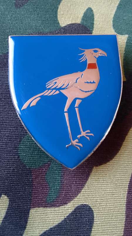SADF/SA ARMY  STORMBERG  COMMANDO SHOULDER FLASH - WITH PINS
