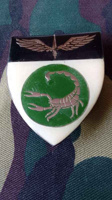 SADF / SA ARMY  2 RECCE COMMANDO SHOULDER FLASH - WITH PINS