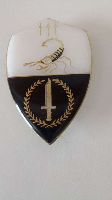 SADF/SA ARMY EXECUTIVE OUTCOMES RECCE SHOULDER FLASH - WITH PINS