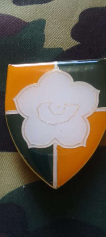 SADF/SA ARMY  GROUP 42 HQ  SHOULDER FLASH - WITH PINS