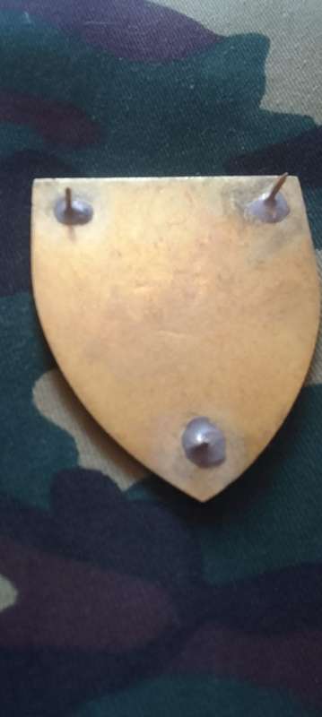 SADF/SA ARMY  GROUP 42 HQ  SHOULDER FLASH - WITH PINS