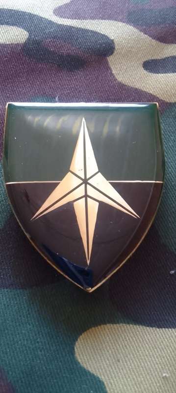 SADF/SA ARMY 55 SAI BATTALION SHOULDER FLASH - WITH PINS