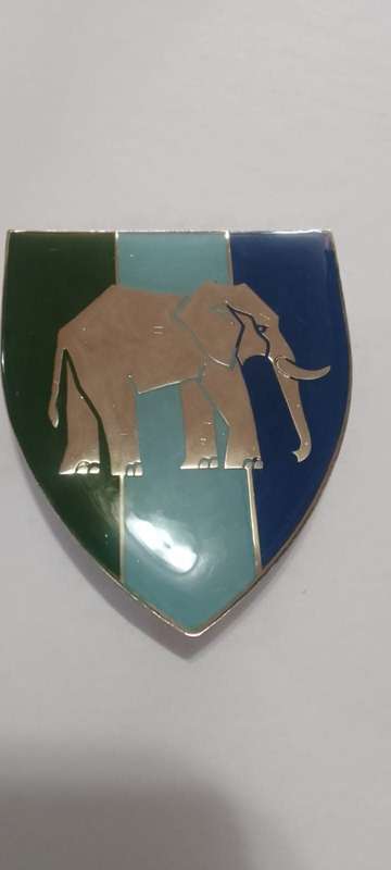 SADF/SA ARMY  EASTERN PROVINCE COMMAND SIGNAL UNIT  SHOULDER FLASH - WITH PINS