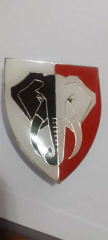 SADF/SA ARMY 701 BATTLION  SHOULDER FLASH - WITH PINS