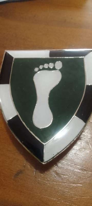 LOW START! SADF 1 SWA  SPECIALIST UNIT SHOULDER FLASH - WITH PINS