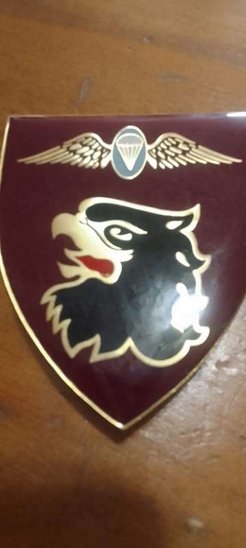 SADF / SA ARMY 44 PARACHUTE BRIGADE STATIC LINE INSTRUCTOR SHOULDER FLASH - WITH PINS