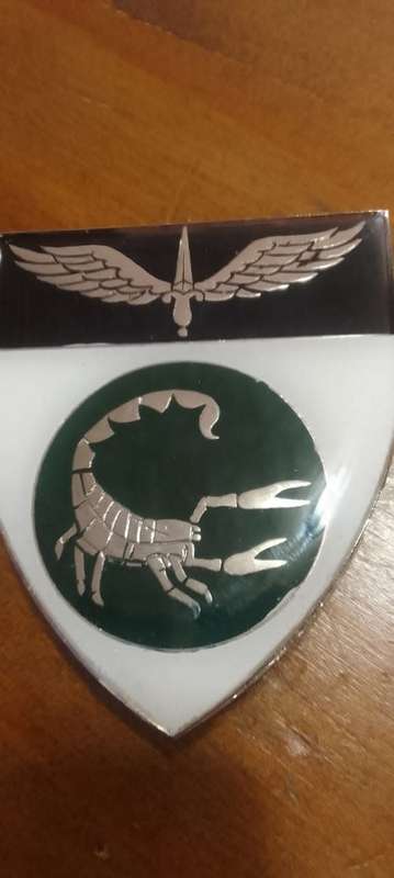 SADF / SA ARMY  2 RECCE COMMANDO SHOULDER FLASH - WITH PINS