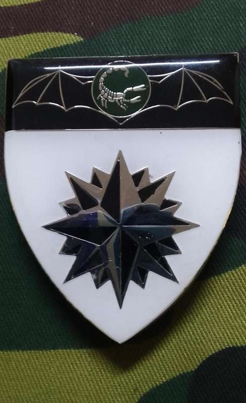 SADF /SA ARMY 2 RECCE REGIMENT SHOULDER FLASH - WITH PINS -