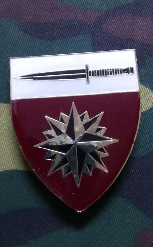 SADF/ SA ARMY  SPECIAL FORCES SCHOOL SHOULDER FLASH  ---with pins