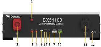 5.12kWh Dyness BX51100 LifePo4 Lithium Battery