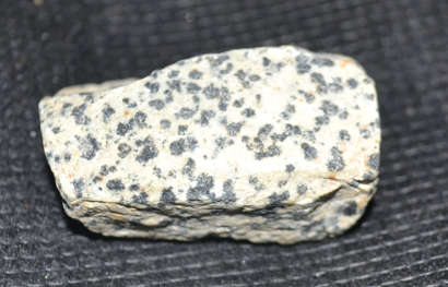 Dalmatian Jasper Rough  black spots are said to be Black Tourmaline