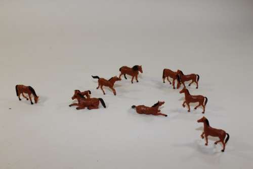10 x Horses