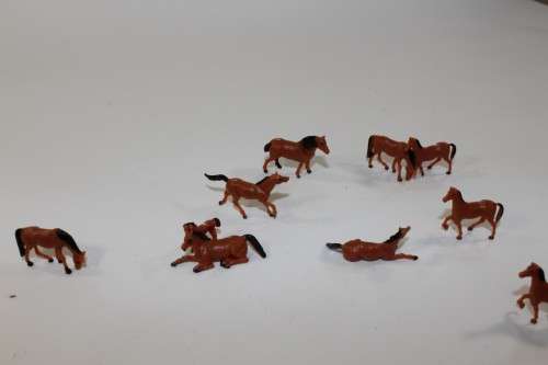 10 x Horses