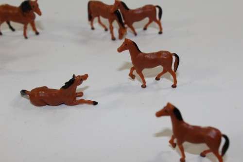 10 x Horses