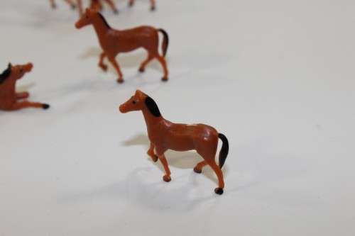 10 x Horses