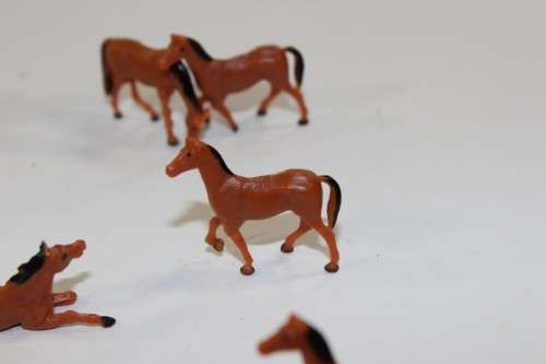 10 x Horses