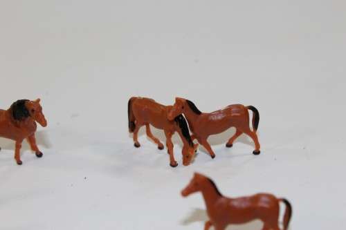 10 x Horses