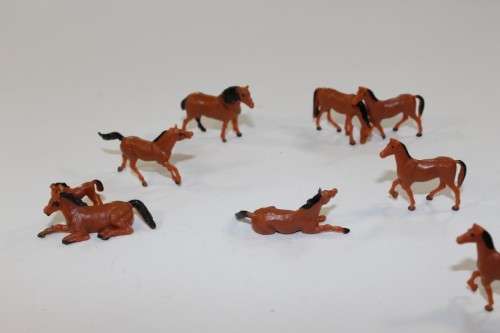 10 x Horses