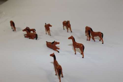 10 x Horses