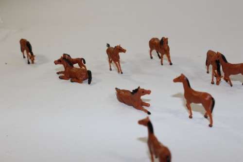10 x Horses