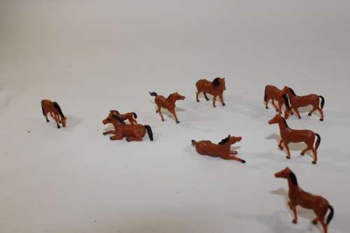 10 x Horses